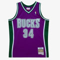 Ray Allen Milwaukee Bucks 2001-02 Swingman Jersey product image 1, provided for visual reference and product detail review