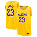 Los Angeles Lakers LeBron James Fanatics Youth Fast Break product image 1