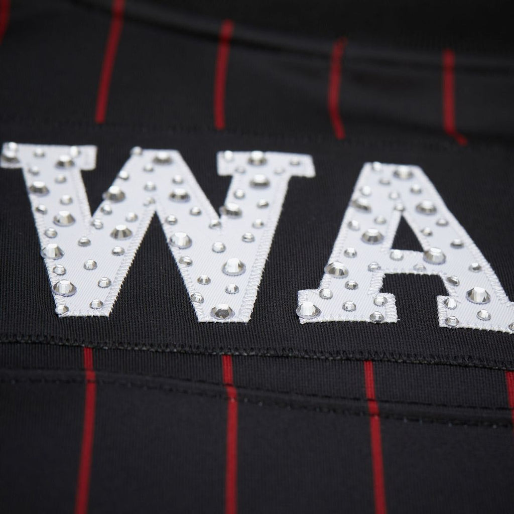 Miami Heat Dwyane Wade Mitchell & Ness x DANNIJO Women's product image 7