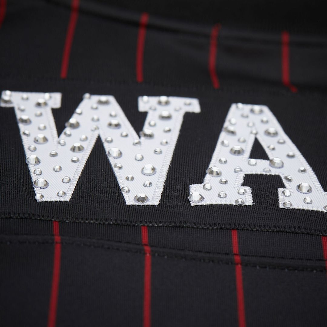 Miami Heat Dwyane Wade Mitchell & Ness x DANNIJO Women's product image 7