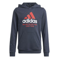 adidas MANCHESTER UNITED YOUTH HOODIE product image 1, provided for visual reference and product detail review