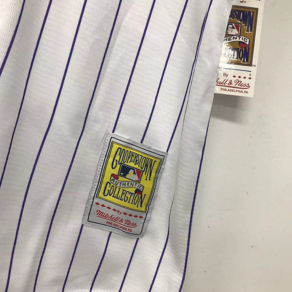 Randy Johnson Arizona Diamondbacks Jersey Mitchell & Ness product image 3