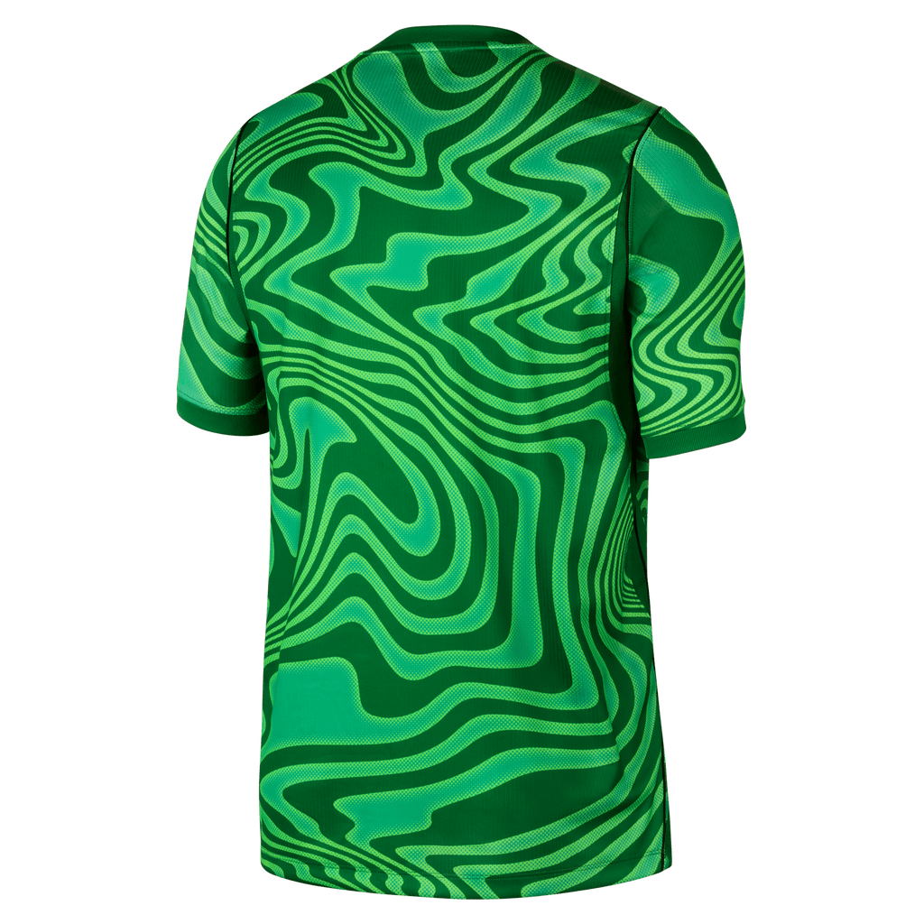 Nike Brazil 2026 Stadium Goalkeeper Men Nike Dri-FIT Soccer Replica Short-Sleeve Jersey product image 2, provided for visual