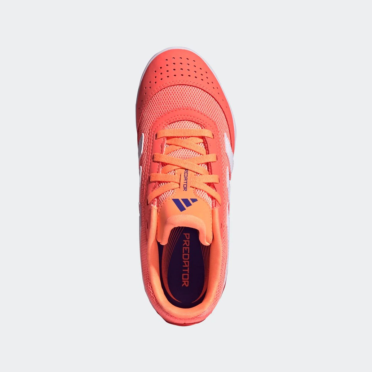Adidas Jr Predator Club IN Sala- SIGCOR/FTWWHT/BEAORA product image 6, provided for visual reference and product detail