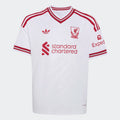 Nike Youth Liverpool FC Stadium Away Dri-FIT Soccer Jersey 26/27 product image 1, provided for visual reference and product