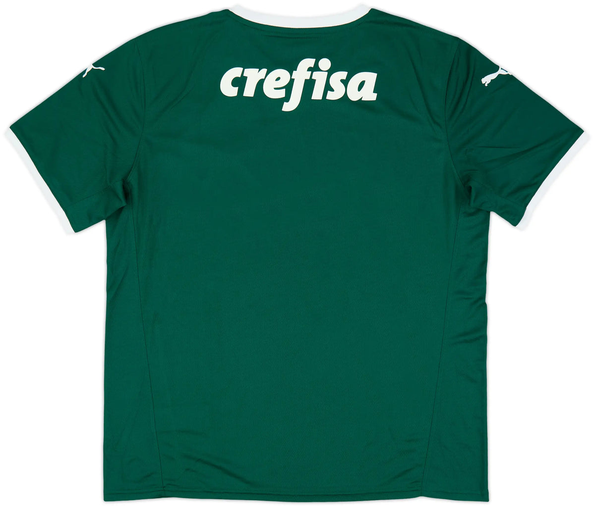 2022 Palmeiras Home Jersey product image 2, provided for visual reference and product detail review