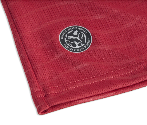 Puma Men Portugal Long Sleeve Home Soccer Jersey 2026 product image 2, provided for visual reference and product detail