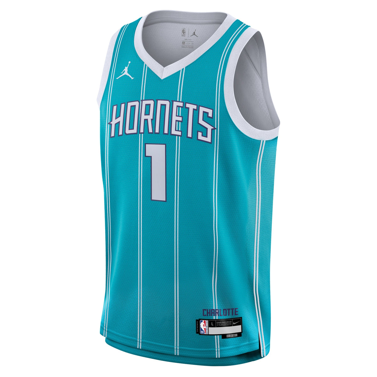 LaMelo Ball Charlotte Hornets Swingman Icon Jersey - Youth product image 3, provided for visual reference and product detail