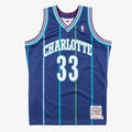 Alonzo Mourning Charlotte Hornets 1994-95 Authentic Alternate Jersey product image 1, provided for visual reference and