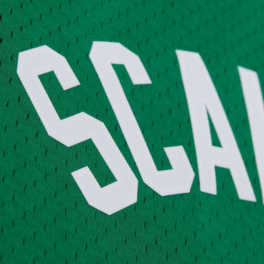 Brian Scalabrine Boston Celtics Swingman Jersey - Mens product image 6, provided for visual reference and product detail