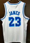 LeBron James Los Angeles Lakers Classic Authentics Jersey product image 1