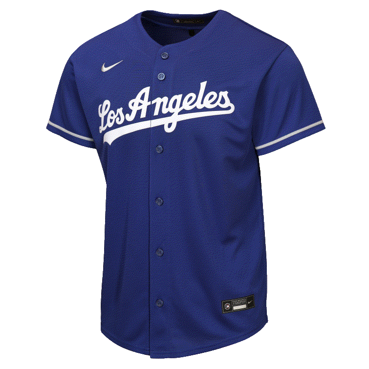 Nike Youth Los Angeles Dodgers Alternative Baseline Jersey-Royal product image 1, provided for visual reference and product