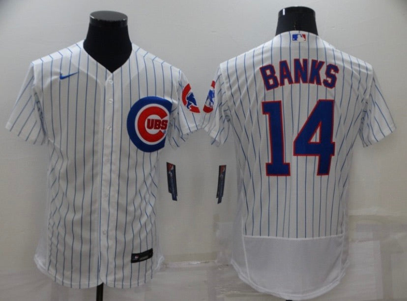 Ernie Banks Chicago Cubs Official MLB Nike Jersey product image 1