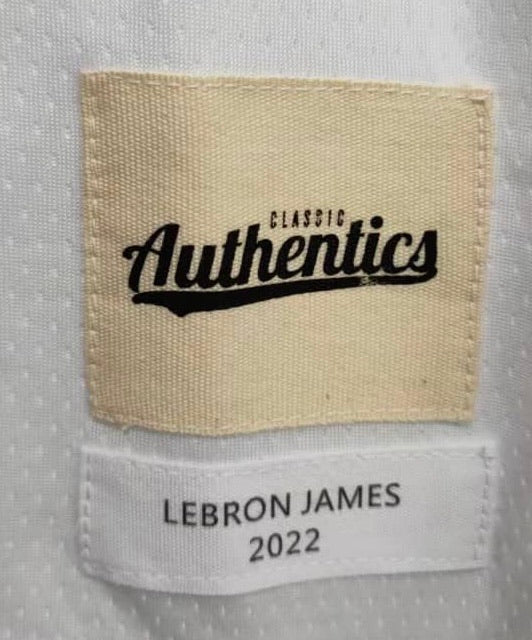 Lebron James #6 YOUTH Los Angeles Lakers jersey white product image 3